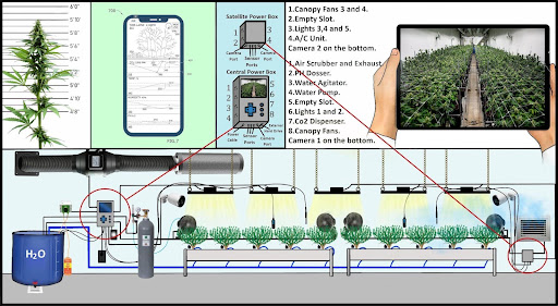 AI camera monitoring and automation system