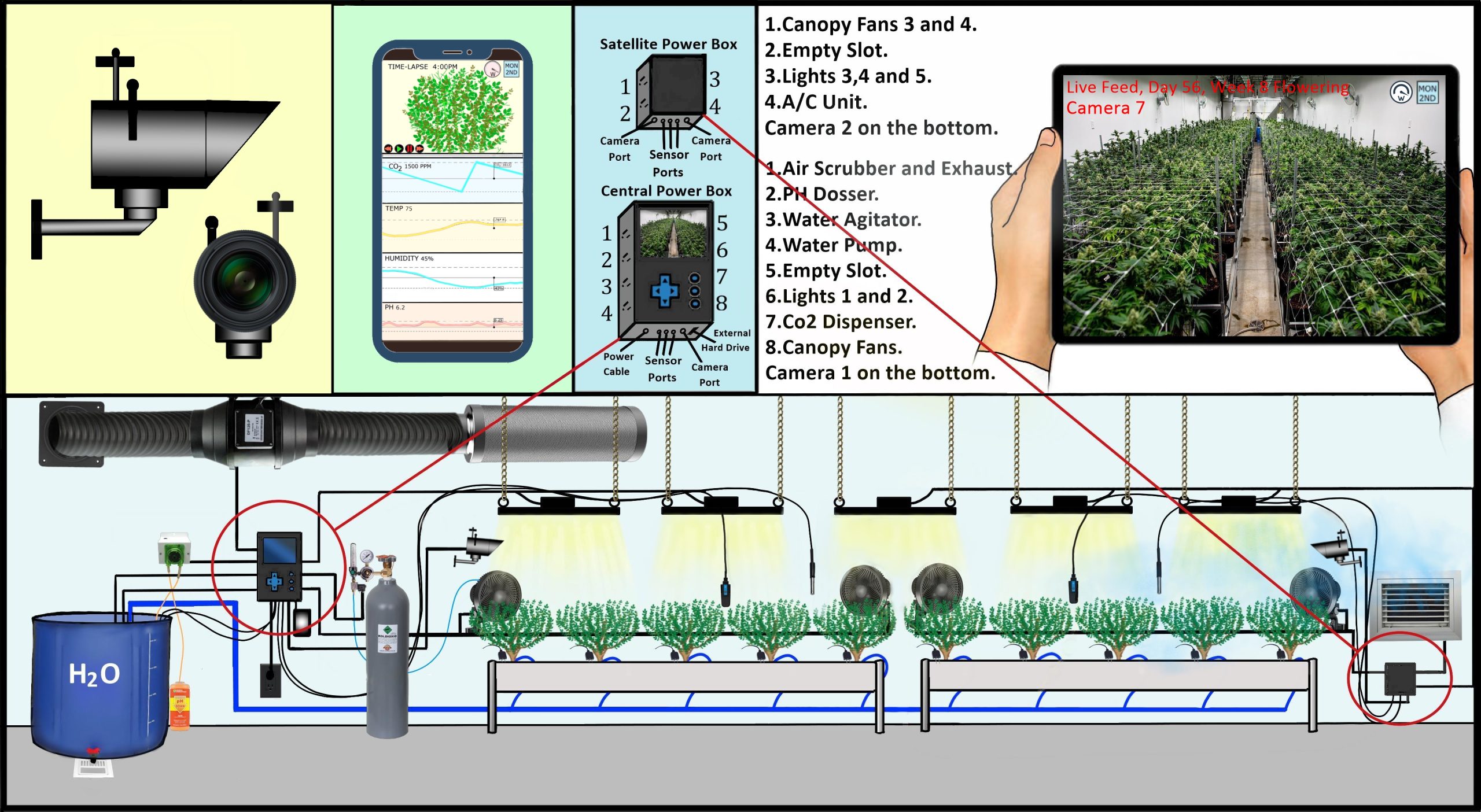 AI camera monitoring and automation system