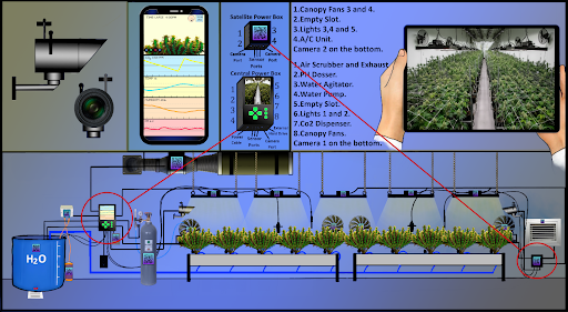 AI camera monitoring and automation system